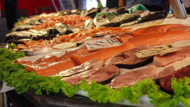 market-fish-fish-market-food.jpg